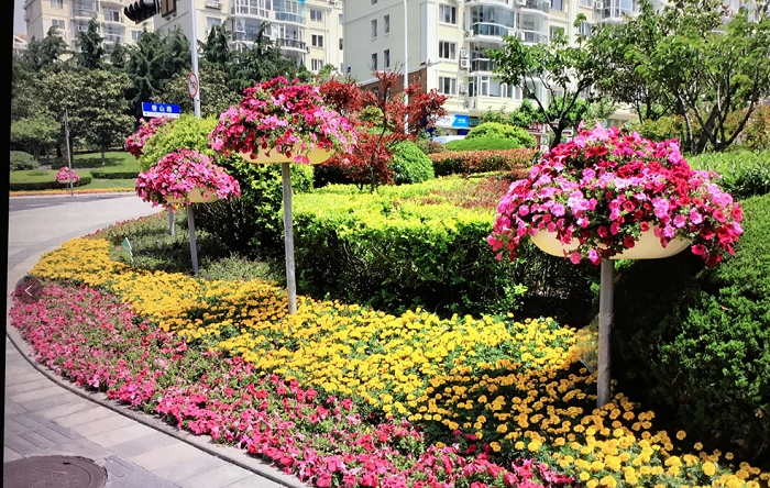 道路景观提升绿化