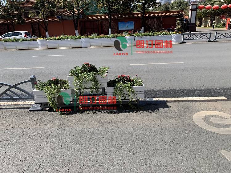朗汀城市生態空間裝飾案例-云南昆明道路隔離綠化工程