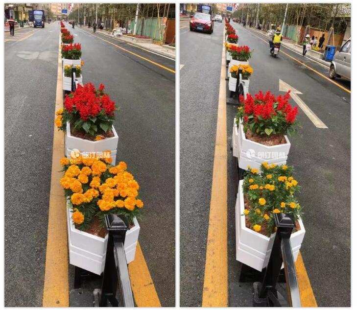 花箱道路隔离美化城市