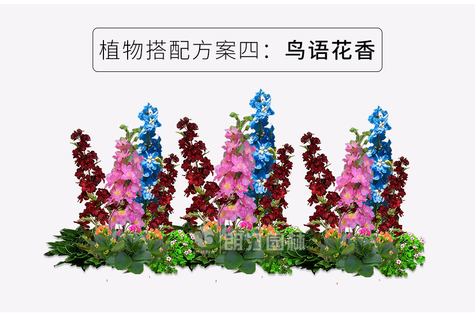 路两边景观花箱植物搭配方案鸟语花箱