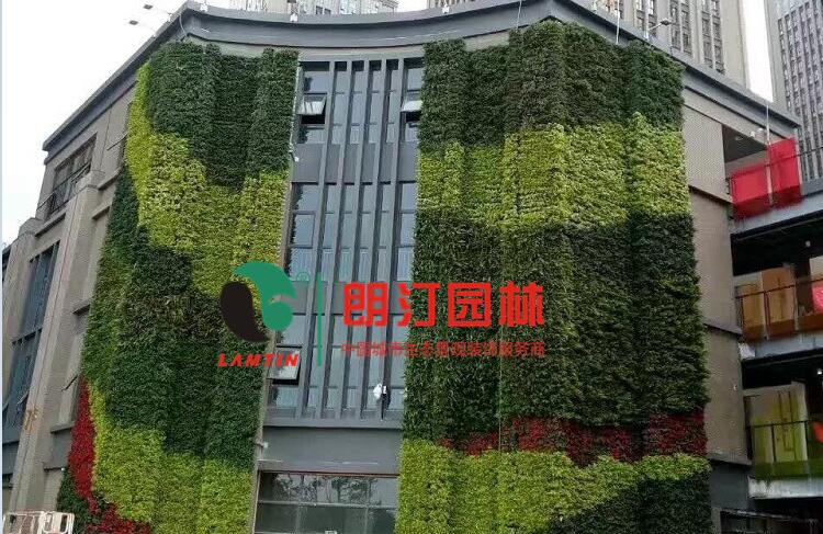 云南植物墙案例图