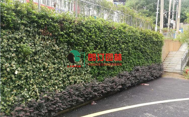 墙体绿化快捷花盆（3316)