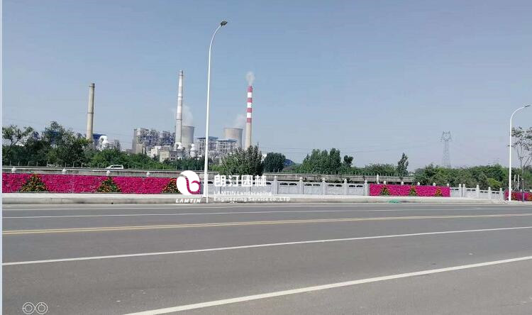 河南平顶山植物墙绿化景观工程案例