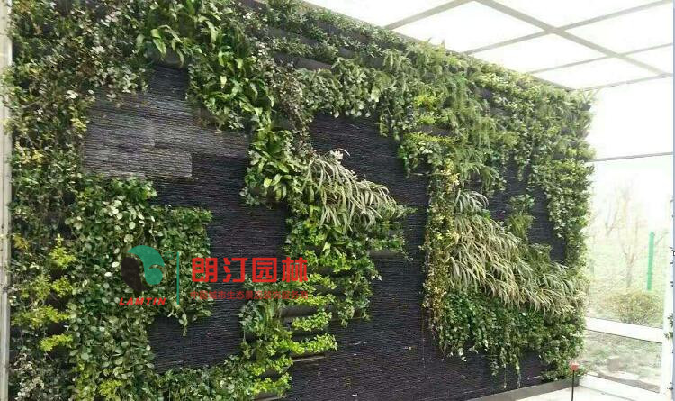 朗汀园林室内植物墙绿化工程