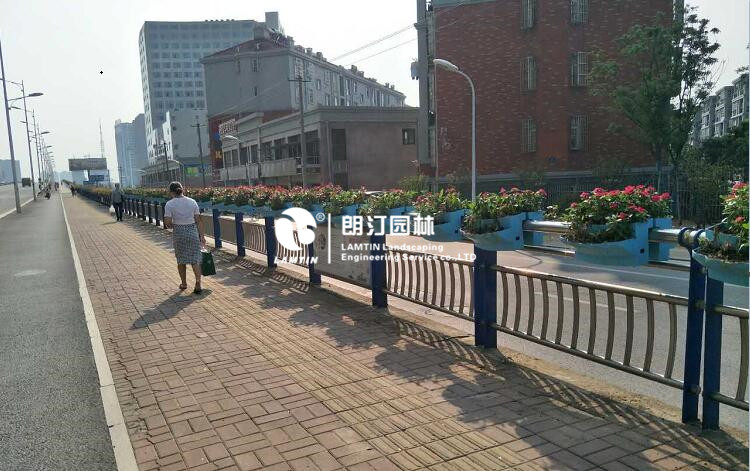 马鞍式骑跨花盆