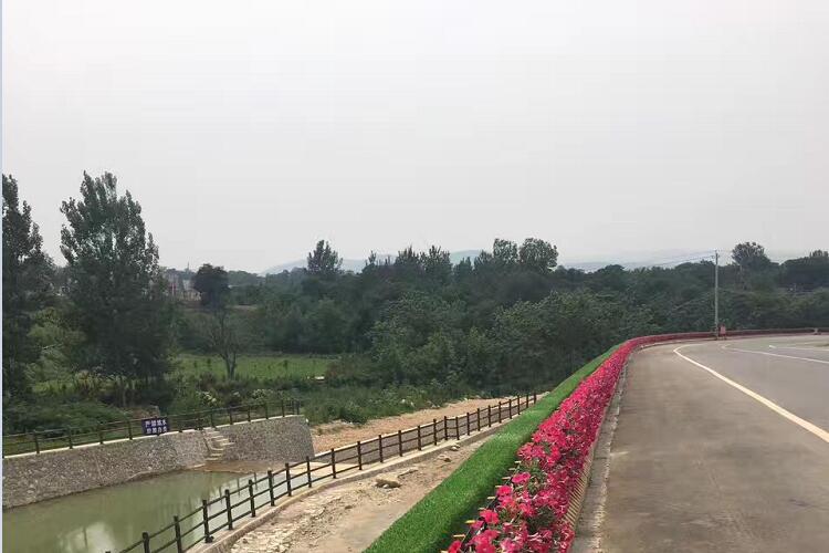 渭南护栏绿化案例