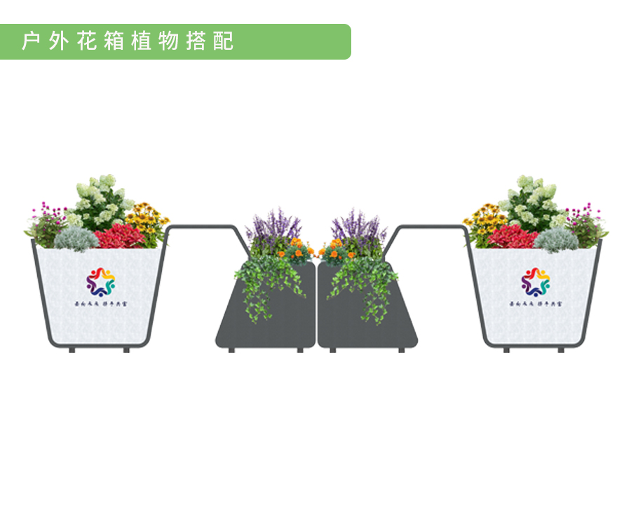 植物搭配1.jpg