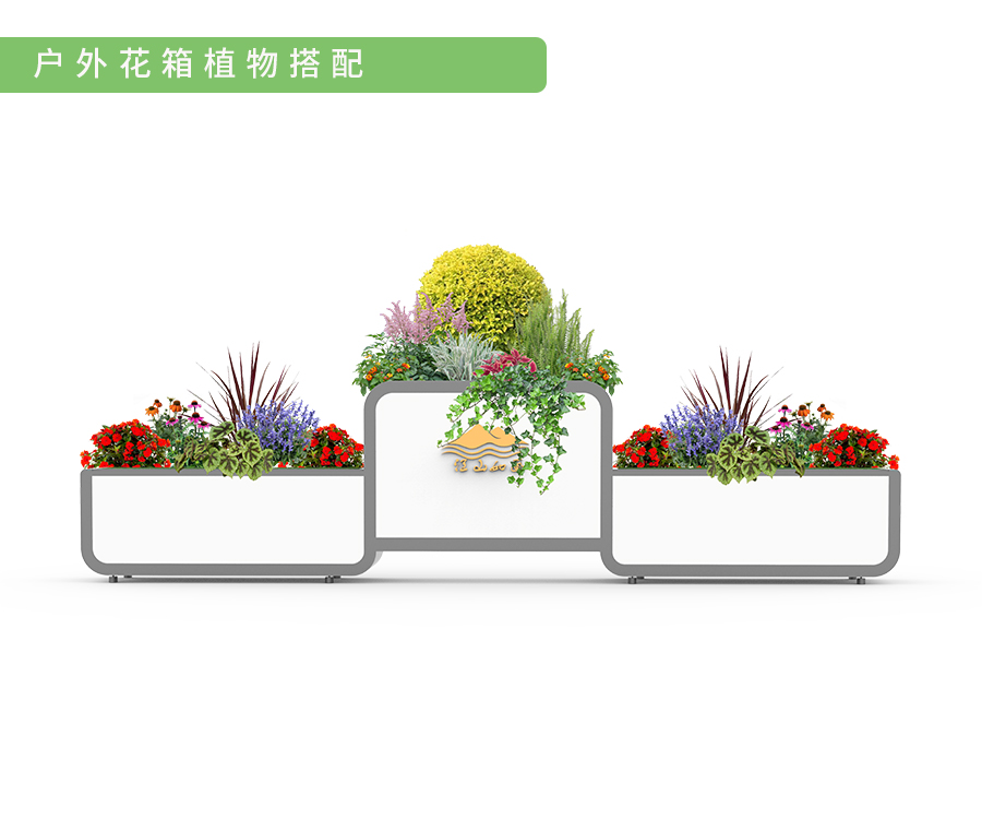 植物搭配2.jpg