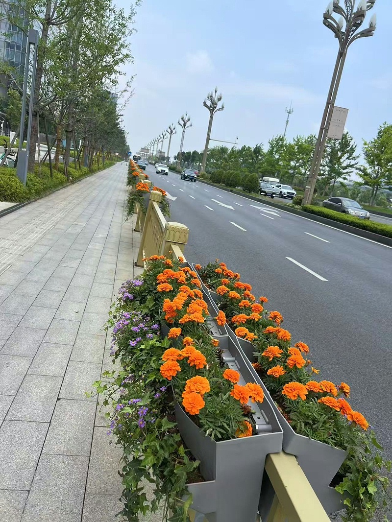 马鞍花盆