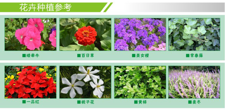 方形鼎式艺术花箱-花卉参考